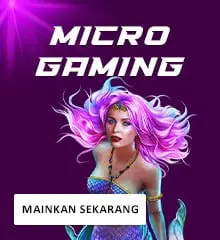 Microgaming